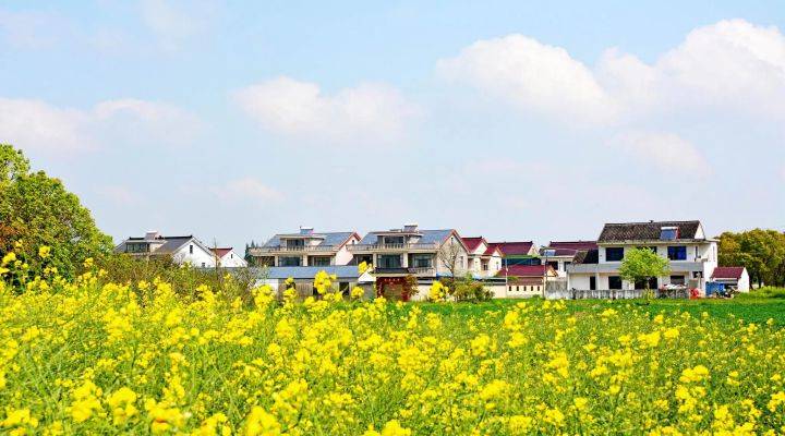 河南焦作市發(fā)文推進農村人居環(huán)境整治、農村污水治理、黑臭水體治理